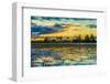 Colorful Sunset in Pantanal, Brazil-ESB Professional-Framed Photographic Print