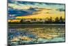 Colorful Sunset in Pantanal, Brazil-ESB Professional-Mounted Photographic Print