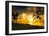 Colorful Sunset IV - In the Style of Oil Painting-Philippe Hugonnard-Framed Giclee Print