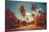 Colorful Sunset Landscape with Empty Road and Palm Trees in Jungle against Clear Blue Sky. Vintage-goinyk-Mounted Photographic Print