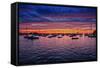 Colorful Sunset Newport Rhode Island-null-Framed Stretched Canvas