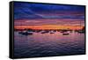 Colorful Sunset Newport Rhode Island-null-Framed Stretched Canvas