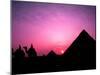 Colorful Sunset Silhouetting Men and Camels at the Great Pyramids of Giza, Egypt-Bill Bachmann-Mounted Premium Photographic Print