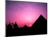 Colorful Sunset Silhouetting Men and Camels at the Great Pyramids of Giza, Egypt-Bill Bachmann-Mounted Photographic Print