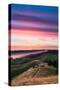 Colorful sunset with pink clouds on Mt. Tam in San Francisco with rolling, golden hills-David Chang-Stretched Canvas