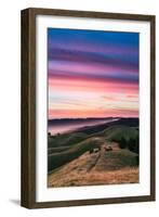 Colorful sunset with pink clouds on Mt. Tam in San Francisco with rolling, golden hills-David Chang-Framed Photographic Print