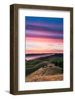 Colorful sunset with pink clouds on Mt. Tam in San Francisco with rolling, golden hills-David Chang-Framed Photographic Print