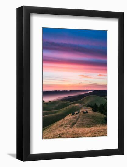 Colorful sunset with pink clouds on Mt. Tam in San Francisco with rolling, golden hills-David Chang-Framed Photographic Print