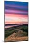 Colorful sunset with pink clouds on Mt. Tam in San Francisco with rolling, golden hills-David Chang-Mounted Photographic Print