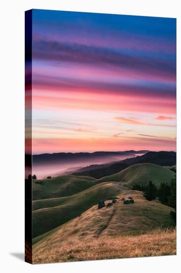 Colorful sunset with pink clouds on Mt. Tam in San Francisco with rolling, golden hills-David Chang-Stretched Canvas