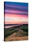 Colorful sunset with pink clouds on Mt. Tam in San Francisco with rolling, golden hills-David Chang-Stretched Canvas