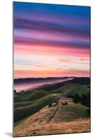 Colorful sunset with pink clouds on Mt. Tam in San Francisco with rolling, golden hills-David Chang-Mounted Photographic Print