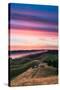 Colorful sunset with pink clouds on Mt. Tam in San Francisco with rolling, golden hills-David Chang-Stretched Canvas