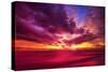 Colorful Sunset-Philippe Sainte-Laudy-Stretched Canvas