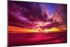 Colorful Sunset-Philippe Sainte-Laudy-Mounted Photographic Print