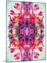 Colorful Symmetric Layer Work from Blossoms-Alaya Gadeh-Mounted Photographic Print