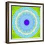 Colorful Symmetric Layer Work from Flowers-Alaya Gadeh-Framed Photographic Print