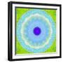 Colorful Symmetric Layer Work from Flowers-Alaya Gadeh-Framed Photographic Print