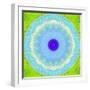 Colorful Symmetric Layer Work from Flowers-Alaya Gadeh-Framed Photographic Print