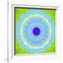 Colorful Symmetric Layer Work from Flowers-Alaya Gadeh-Framed Photographic Print