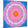 Colorful Symmetric Layer Work from Flowers-Alaya Gadeh-Mounted Photographic Print