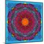 Colorful Symmetric Layer Work from Flowers-Alaya Gadeh-Mounted Photographic Print