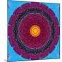 Colorful Symmetric Layer Work from Flowers-Alaya Gadeh-Mounted Photographic Print