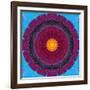 Colorful Symmetric Layer Work from Flowers-Alaya Gadeh-Framed Photographic Print