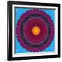 Colorful Symmetric Layer Work from Flowers-Alaya Gadeh-Framed Photographic Print