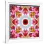 Colorful Symmetric Layer Work from Flowers-Alaya Gadeh-Framed Photographic Print