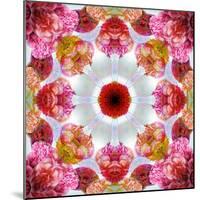 Colorful Symmetric Layer Work from Flowers-Alaya Gadeh-Mounted Photographic Print