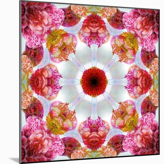 Colorful Symmetric Layer Work from Flowers-Alaya Gadeh-Mounted Photographic Print