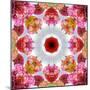 Colorful Symmetric Layer Work from Flowers-Alaya Gadeh-Mounted Photographic Print