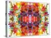 Colorful Symmetric Layer Work from Gladiolus Blossoms-Alaya Gadeh-Stretched Canvas