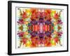 Colorful Symmetric Layer Work from Gladiolus Blossoms-Alaya Gadeh-Framed Photographic Print
