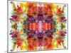 Colorful Symmetric Layer Work from Gladiolus Blossoms-Alaya Gadeh-Mounted Photographic Print