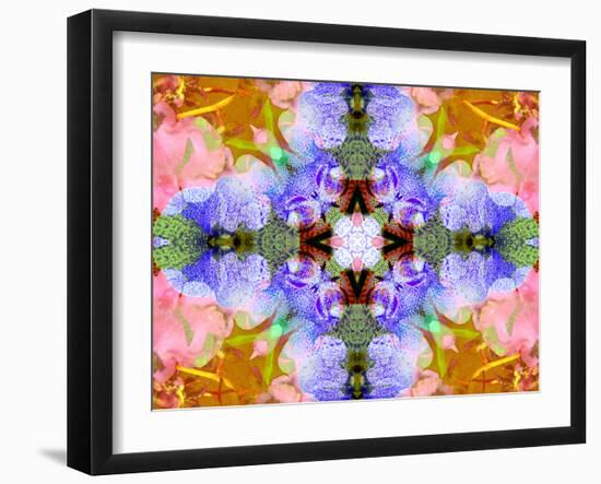 Colorful Symmetricl Layer Work from Orchids-Alaya Gadeh-Framed Photographic Print