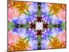 Colorful Symmetricl Layer Work from Orchids-Alaya Gadeh-Mounted Photographic Print