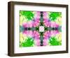 Colorful Symmetricl Layer Work from Orchids-Alaya Gadeh-Framed Photographic Print