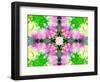 Colorful Symmetricl Layer Work from Orchids-Alaya Gadeh-Framed Photographic Print