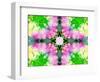 Colorful Symmetricl Layer Work from Orchids-Alaya Gadeh-Framed Photographic Print