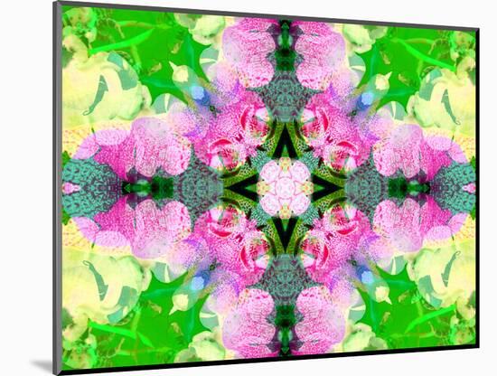 Colorful Symmetricl Layer Work from Orchids-Alaya Gadeh-Mounted Photographic Print