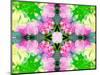 Colorful Symmetricl Layer Work from Orchids-Alaya Gadeh-Mounted Photographic Print