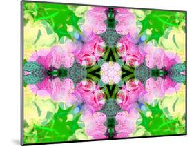 Colorful Symmetricl Layer Work from Orchids-Alaya Gadeh-Mounted Photographic Print