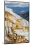 Colorful terrace, Canary Spring, Mammoth Hot Springs, Yellowstone National Park.-Adam Jones-Mounted Photographic Print