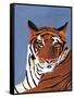 Colorful Tiger-Pamela Munger-Framed Stretched Canvas