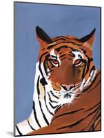 Colorful Tiger-Pamela Munger-Mounted Art Print