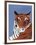 Colorful Tiger-Pamela Munger-Framed Art Print