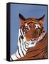 Colorful Tiger-Pamela Munger-Framed Stretched Canvas