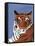 Colorful Tiger-Pamela Munger-Framed Stretched Canvas